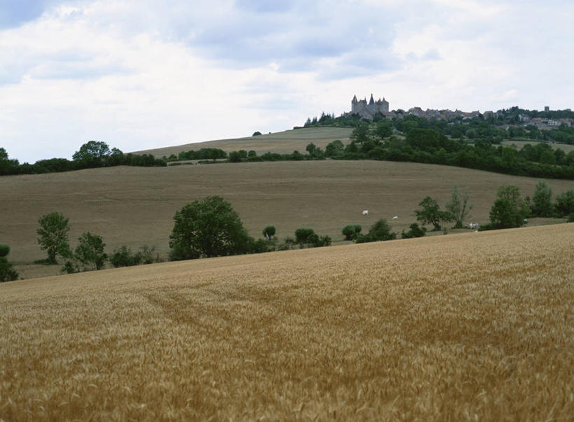 无人,农田,横图,室外,白天,正面,旅游,度假,庄稼,农作物,草地,草坪,美景,树林,植物,法国,欧洲,阴影,光线,影子,堡垒,城堡,景观,云,云朵,云彩,娱乐,草,树,树木,蓝色,绿色,白云,蓝天,天空,阳光,自然,天,享受,休闲,景色,放松,生长,晴朗,成长,西欧,沃克吕兹省,要塞,法兰西,自然风光,阿维尼翁,法兰西共和国,法兰西第五共和国,普罗旺斯.阿尔卑斯.蓝色海岸,设防,晴空,彩图,耕地,庄稼田,教皇新堡,隆河谷,罗纳河谷