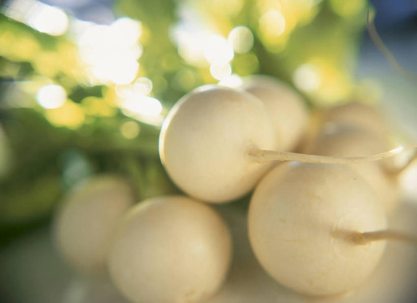 无人,横图,室外,特写,白天,正面,萝卜,白萝卜,蔬菜,许多,阴影,朦胧,模糊,新鲜,光线,影子,食品,很多,食物,阳光,有机食品,绿色食品,莱菔,彩图