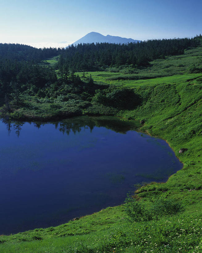 无人,竖图,俯视,室外,白天,旅游,度假,草地,草坪,美景,植物,日本,亚洲,阴影,光线,影子,池塘,景观,水池,娱乐,草,树,树木,蓝色,绿色,倒影,蓝天,天空,阳光,自然,天,享受,休闲,景色,放松,生长,晴朗,成长,沼泽,倒映,自然风光,东亚,本州,万里无云,本州岛,日本国,岩手,岩手县,东北地方,八幡平市,反照,晴空,晴空万里,彩图,高角度拍摄