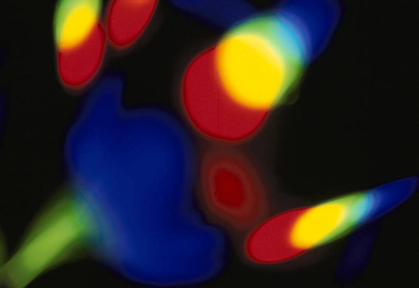 无人,横图,彩色,室内,特写,白天,正面,阴影,黑色背景,朦胧,模糊,光线,影子,灯光,五颜六色,色彩斑斓,五彩缤纷,五彩斑斓,五光十色,彩图