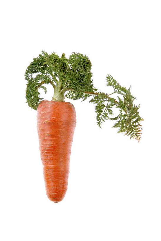 无人,竖图,室内,特写,白天,白色背景,正面,萝卜,胡萝卜,蔬菜,叶子,一根,新鲜,食品,绿叶,食物,橙色,嫩叶,摄影,有机食品,绿色食品,影棚,黄萝卜,番萝卜,叶,叶片,红萝卜,甘荀,彩图,影棚拍摄,拍摄,丁香萝卜,胡芦菔金,金笋