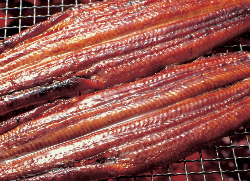 海鲜,鳗鱼,无人,横图,俯视,室内,特写,白天,烹饪,烧烤,热情,火,两块,鱼,火焰,肉,鱼肉,日本料理,料理,食品,烤架,烤肉,燃烧,水产,菜肴,美食,肉类,鱼类,海洋生物,食物,日式料理,日式,铁架,佳肴,水生动物,海产品,水生物,肉食,海底动物,照烧,彩图,高角度拍摄,照烧鳗鱼