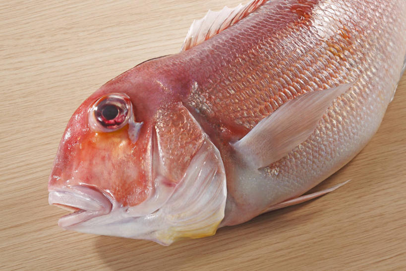 海鲜,无人,横图,俯视,室内,特写,白天,桌面,桌子,一条,阴影,反射,木制,鱼,影子,木桌,鲷鱼,水产,鱼类,海洋生物,木制品,鲷,加吉鱼,铜盆鱼,真鲷,死亡,水生动物,海产品,水生物,红鲷,海底动物,班加吉,加真鲷,红加吉,殒命,灭亡,半身,彩图,高角度拍摄,木桌子