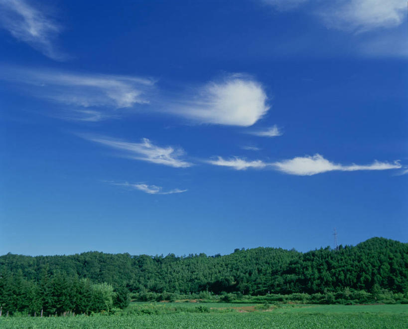 无人,横图,室外,白天,正面,旅游,度假,草地,草坪,美景,树林,植物,北海道,日本,亚洲,阴影,光线,影子,景观,云,云朵,云彩,娱乐,草,树,树木,蓝色,绿色,白云,蓝天,天空,阳光,自然,天,享受,休闲,景色,放松,生长,晴朗,成长,自然风光,东亚,日本国,北海道地方,北海道岛,虻田郡,晴空,彩图,胆振综合振兴局,后志综合振兴局,振兴局,喜茂别町,胆振支厅,道央