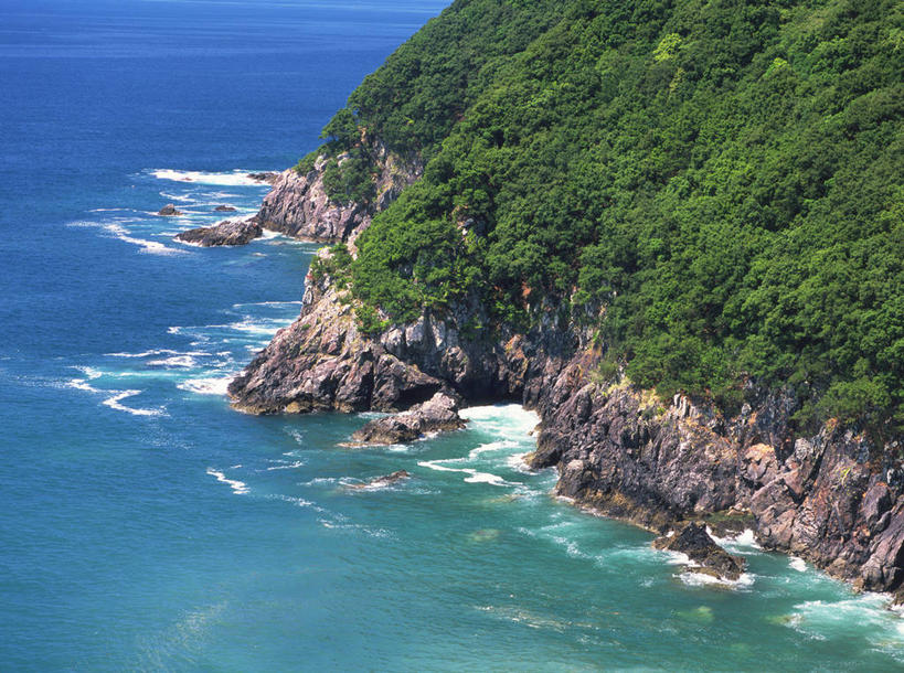 无人,横图,俯视,室外,白天,旅游,度假,海浪,海洋,石头,美景,森林,树林,植物,爱媛县,日本,亚洲,阴影,光线,石子,影子,景观,浪花,悬崖,娱乐,树,树木,绿色,阳光,自然,海水,享受,休闲,景色,放松,茂密,茂盛,生长,成长,自然风光,海景,东亚,日本国,爱媛,四国地方,四国,四国岛,绝壁,大海,风浪,海,海水的波动,近岸浪,石块,岩石,涌浪,彩图,高角度拍摄,宇和岛市,宇和岛