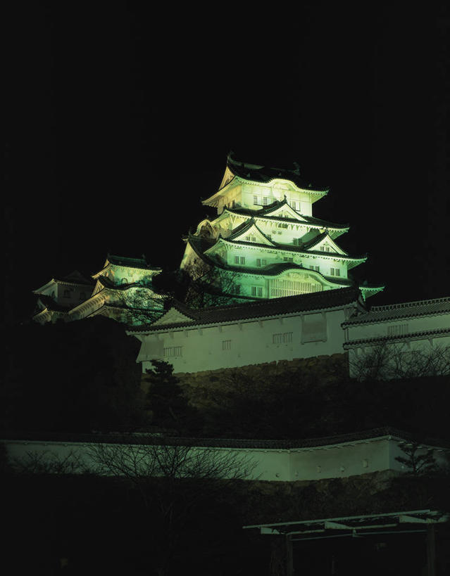 无人,竖图,室外,夜晚,仰视,旅游,度假,名胜古迹,植物,标志建筑,地标,建筑,日本,亚洲,阴影,遗迹,光线,影子,堡垒,城堡,墙,灯光,古迹,文物,娱乐,建设,古建筑,墙壁,墙面,树,树木,绿色,自然,享受,休闲,旅游胜地,放松,生长,成长,要塞,古文明,东亚,本州,世界文化遗产,本州岛,日本国,近畿地方,姬路城,近畿,兵库,兵库县,白鹭城,姬路,姬路市,设防,彩图,低角度拍摄