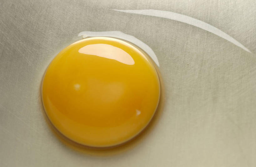 无人,横图,俯视,室内,特写,白天,阴影,反射,影子,蛋,蛋黄,鸡蛋,一个,黄色,单个,草鸡蛋,卵,彩图,高角度拍摄,本鸡蛋,笨鸡蛋,柴鸡蛋,山鸡蛋,土鸡蛋