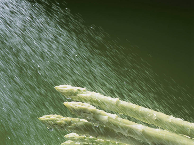 无人,横图,室内,特写,白天,正面,水,芦笋,蔬菜,绿色背景,飞溅,朦胧,模糊,新鲜,溅,液体,水滴,绿芦笋,食品,水珠,食物,摄影,有机食品,绿色食品,影棚,喷洒,荡涤,洗濯,猪尾巴,药鸡豆子,石刁柏,蚂蚁杆,龙须菜,狼尾巴根,清洗,彩图,影棚拍摄,拍摄