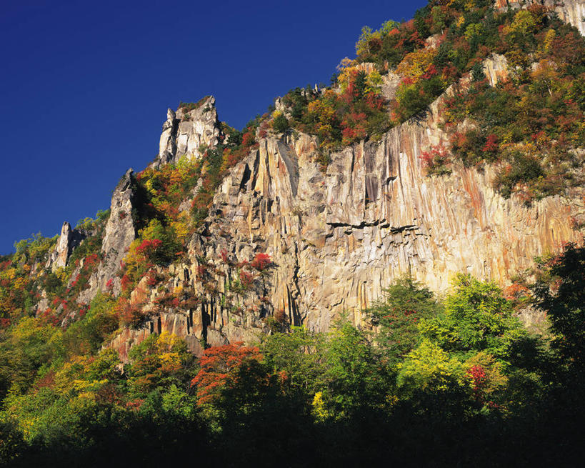 无人,公园,横图,室外,白天,仰视,旅游,度假,石头,美景,秋季,森林,树林,植物,叶子,北海道,日本,亚洲,阴影,光线,石子,影子,景观,悬崖,枯叶,落叶,娱乐,树,树木,蓝色,绿色,蓝天,天空,阳光,自然,天,享受,休闲,景色,放松,生长,晴朗,成长,自然风光,东亚,万里无云,日本国,北海道地方,北海道岛,绝壁,国立公园,层云峡,叶,叶片,石块,岩石,晴空,晴空万里,秋,秋天,彩图,低角度拍摄,大雪山国立公园