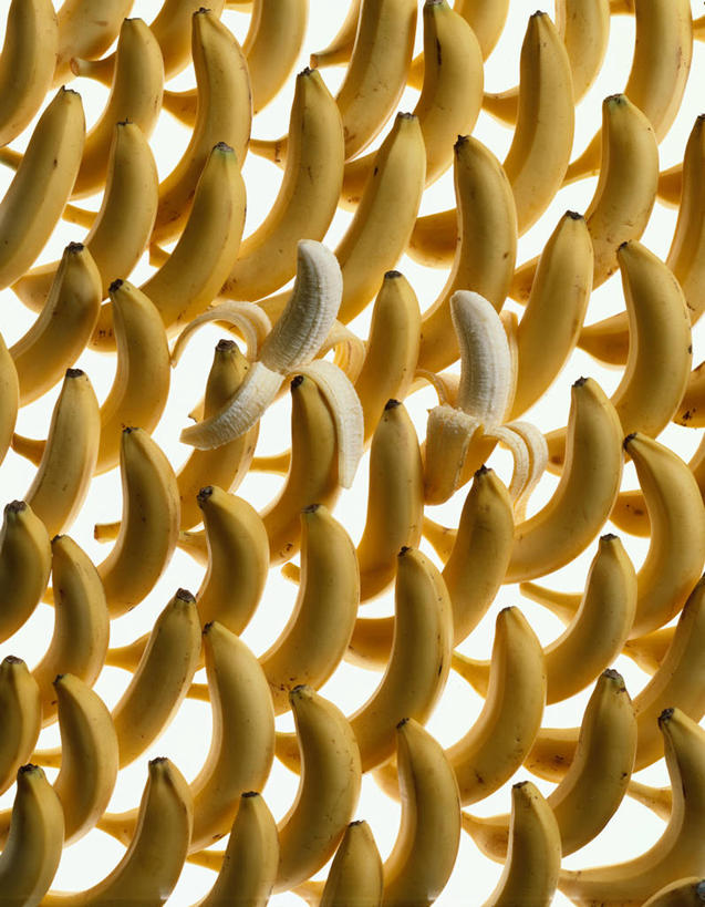 无人,竖图,室内,白天,白色背景,正面,香蕉,水果,一排,许多,新鲜,整齐,并列,并排,生食,食品,果实,果皮,很多,食物,排列,黄色,摄影,有机食品,绿色食品,影棚,队列,香蕉皮,表皮,平行,甘蕉,彩图,影棚拍摄,拍摄