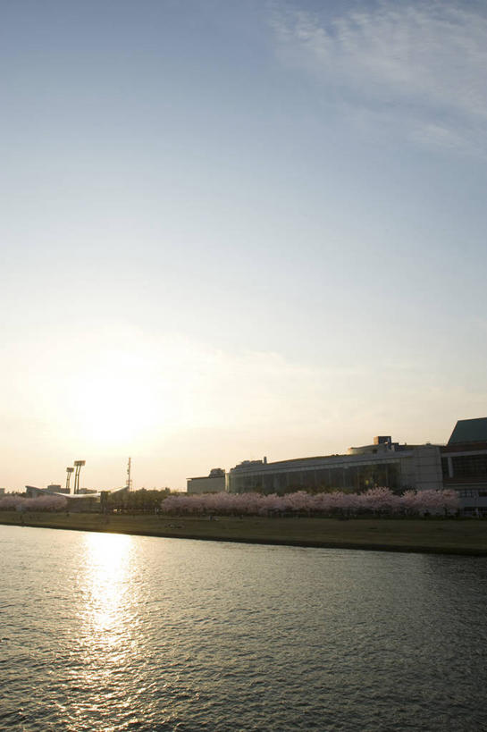 无人,竖图,室外,白天,正面,度假,幸福,纯洁,草地,草坪,河流,美景,日落,水,植物,城市风光,城市,樱花,长野县,日本,亚洲,波纹,盛开,河水,景观,水流,晚霞,霞光,落日,涟漪,花蕾,娱乐,草,花,花瓣,花朵,鲜花,树,树木,绿色,倒影,水纹,自然,黄昏,波浪,花苞,花蕊,享受,休闲,景色,彩霞,放松,生长,成长,等待,倒映,生命,东亚,本州,本州岛,日本国,中部地方,水晕,长野,新潟,新潟县,仙樱花,福岛樱,青肤樱,高尚,热烈,夕照,反照,薄暮,信浓川,夕阳,荆桃,彩图,傍晚,斜阳