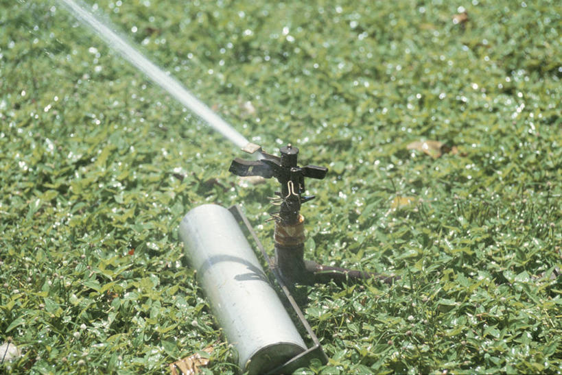 无人,横图,俯视,室外,特写,白天,草地,草坪,美景,水,植物,阴影,飞溅,朦胧,模糊,溅,光线,液体,影子,景观,水滴,水珠,草,绿色,阳光,自然,景色,喷洒,自然风光,洒水车,多功能绿化洒水车,多功能喷洒车,绿化喷洒车,绿化洒水车,水罐车,园林绿化喷洒车,园林喷药车,彩图,高角度拍摄