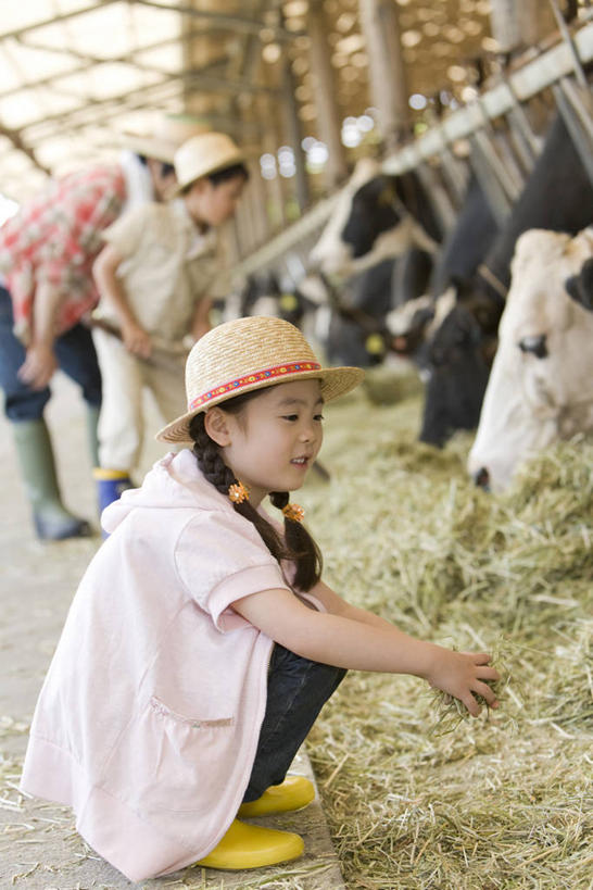 东方人,儿童,中年人,三个人,家庭,父亲,女儿,儿子,农场,站,蹲,竖图,室外,白天,侧面,纯洁,畜牧业,牧场,牛,帽子,亚洲,弯腰,花纹,服装,朦胧,模糊,乳牛,注视,休闲装,黄种人,小孩,衣服,动物,遮阳帽,观察,看,站着,休闲,温暖,温馨,父女,父子,一家人,休闲服,家畜,父爱,可爱,童年,童趣,服饰,牲畜,观看,和睦,察看,关注,斑纹,童真,烂漫,无邪,畜牧,牧业,弯身,食槽,饲料槽,天真,男孩,男人,男性,女孩,女人,女性,中年男性,亚洲人,孩子,奶牛,蹲着,站立,半身,彩图,融洽,男生,女生
