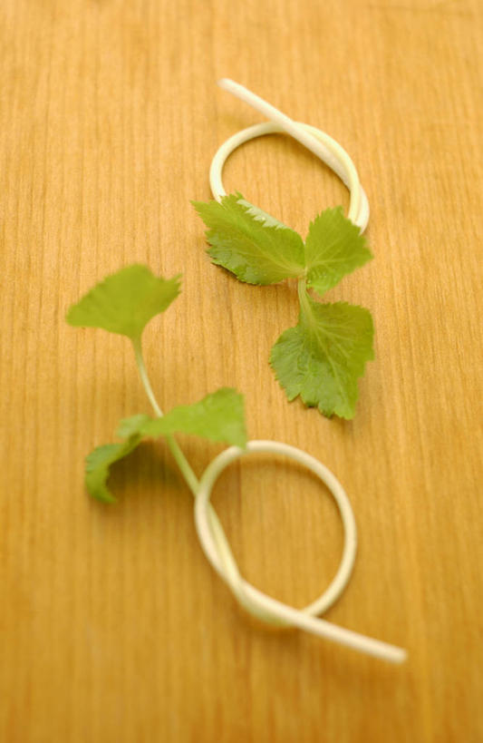 无人,竖图,俯视,室内,特写,白天,幸福,地板,叶子,阴影,反射,影子,三叶草,绿叶,地面,木地板,嫩叶,车轴草,苜蓿,叶,叶片,彩图,高角度拍摄