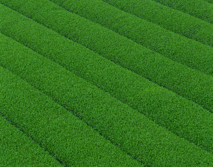 无人,横图,俯视,室外,特写,白天,幸福,美景,茶,阴影,新鲜,光线,影子,景观,茶叶,娱乐,茶园,绿色,阳光,自然,享受,休闲,温馨,景色,放松,乐趣,青春,提神,舒适,生命,自然风光,醒脑,和平,安详,茶场,冷色,彩图,高角度拍摄