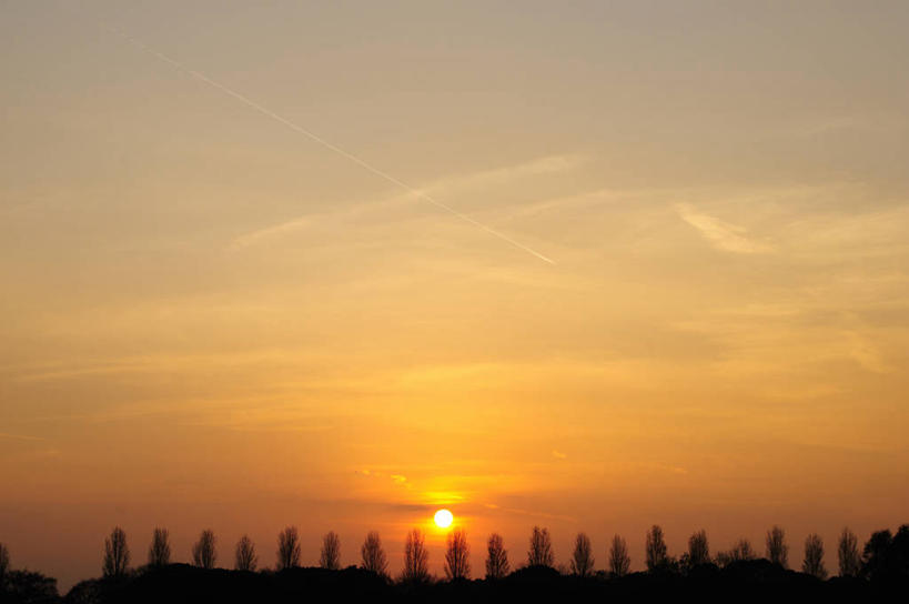 无人,横图,室外,白天,仰视,旅游,度假,草地,草坪,美景,日落,树林,太阳,植物,东京,日本,亚洲,阴影,光线,影子,景观,晚霞,霞光,落日,背光,娱乐,草,树,树木,绿色,阳光,自然,黄昏,享受,休闲,景色,彩霞,放松,生长,成长,自然风光,逆光,东亚,本州,关东地方,本州岛,日本国,东京都,水元公园,夕照,薄暮,葛饰区,夕阳,彩图,低角度拍摄,傍晚,斜阳