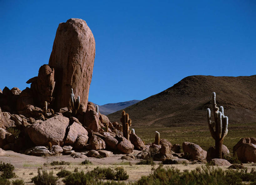 无人,横图,室外,白天,正面,旅游,度假,石头,美景,山,山脉,植物,仙人掌,阿根廷,阴影,光线,火焰,石子,影子,景观,山峰,草药,山峦,娱乐,中药,蓝色,蓝天,天空,阳光,自然,群山,天,享受,休闲,景色,南美,放松,晴朗,南美洲,拉丁美洲,自然风光,美洲,药材,中草药,中药材,本草,万里无云,牛舌头,亚美利加洲,南亚美利加洲,阿根廷共和国,胡胡伊,胡胡伊省,石块,岩石,晴空,晴空万里,玉芙蓉,仙巴掌,火掌,霸王树,彩图