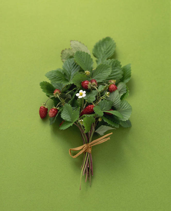 无人,竖图,俯视,室内,特写,白天,浆果,水果,叶子,绿色背景,阴影,新鲜,反射,影子,生食,食品,果实,绿叶,食物,红色,嫩叶,摄影,有机食品,绿色食品,影棚,野草莓,叶,叶片,洋莓,彩图,高角度拍摄,影棚拍摄,拍摄