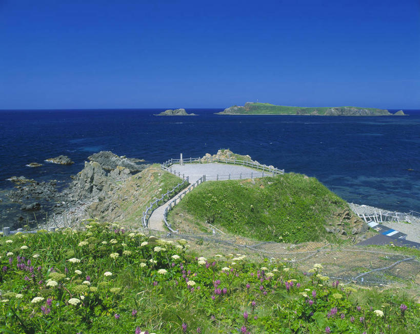 无人,横图,室外,白天,正面,旅游,度假,海浪,海洋,花海,花圃,石头,美景,沙滩,植物,道路,路,叶子,北海道,日本,亚洲,阴影,盛开,光线,沙子,石子,影子,海岸,景观,浪花,水平线,小路,辽阔,交通,海平线,沙地,花蕾,娱乐,花,花瓣,花朵,花卉,鲜花,蓝色,绿色,蓝天,天空,阳光,自然,海水,花丛,花束,花田,天,花苞,花蕊,享受,休闲,广阔,景色,放松,晴朗,一望无际,自然风光,海景,东亚,万里无云,日本国,北海道地方,北海道岛,无边无际,一马平川,大海,风浪,海,海水的波动,海滩,近岸浪,石块,岩石,涌浪,晴空,晴空万里,彩图,振兴局,礼文岛,礼文郡,礼文町,宗谷综合振兴局,水天相接,水天一线