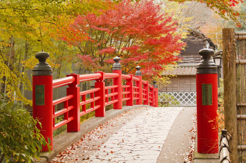 无人,寺庙,栏杆,横图,室外,白天,正面,旅游,度假,名胜古迹,秋季,森林,树林,植物,标志建筑,地标,建筑,桥梁,叶子,静冈县,日本,亚洲,节日,遗迹,围栏,桥,枯叶,落叶,燃烧,古迹,文化,文物,娱乐,建设,古建筑,石桥,护栏,拱桥,树,树木,红色,绿色,自然,香火,庙宇,祈祷,享受,休闲,健康,旅游胜地,放松,许愿,宗教,信仰,拱形,生长,成长,纪念,人行桥,石拱桥,祈求,古文明,东亚,本州,本州岛,日本国,中部地方,静冈,伊豆半岛,平安,叶,叶片,秋,秋天,彩图,庙,寺,伊豆市,修善寺