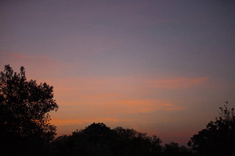 无人,横图,室外,白天,仰视,日出,美景,树林,太阳,植物,非洲,肯尼亚,景观,朝霞,晨曦,黎明,背光,树,树木,绿色,阳光,自然,景色,生长,成长,自然风光,逆光,阿非利加洲,肯尼亚共和国,朝阳,彩图,低角度拍摄,卯时,破晓,日始