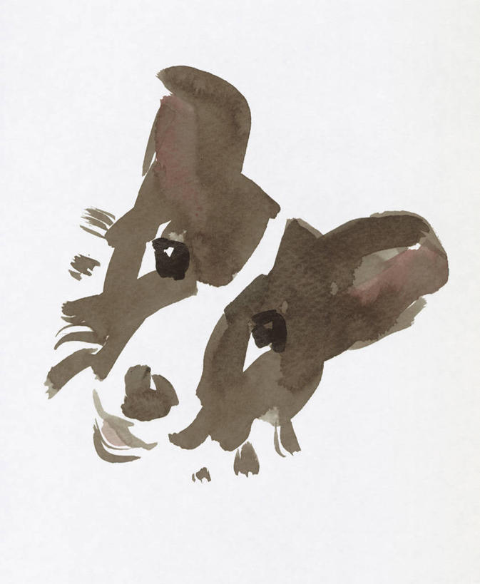 头,无人,竖图,室内,特写,白天,正面,绘画,宠物,狗,艺术,古典,注视,文化,一只,动物,工艺品,观察,看,品味,可爱,牧羊犬,观看,美术,水彩,察看,水彩画,高雅,关注,边境牧羊犬,忠诚,美学,边境柯利牧羊犬,博德牧羊犬,头部,犬,抬头,仰头,半身,彩图