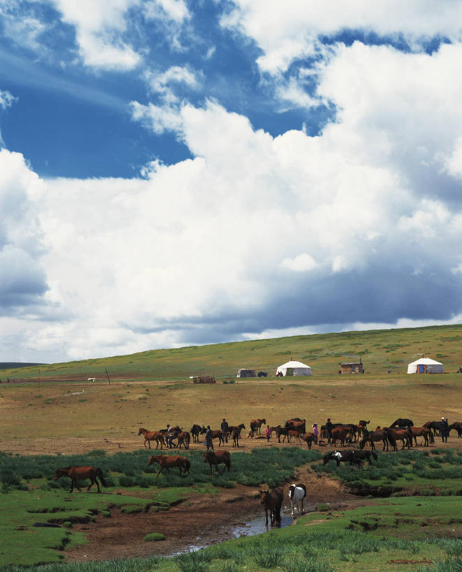 无人,家,农场,站,吃,竖图,室外,白天,正面,旅游,度假,畜牧业,牧场,草地,草坪,美景,植物,马,野生动物,蒙古,亚洲,许多,阴影,光线,影子,帐篷,房屋,屋子,景观,云,云朵,很多,云彩,注视,文化,娱乐,传统,住宅,草,蓝色,绿色,白云,蓝天,天空,阳光,自然,动物,天,低头,观察,看,站着,享受,休闲,景色,便捷,放松,运输,牲畜,晴朗,观看,察看,便利,关注,自然风光,东亚,蒙古包,畜牧,毡房,牧业,垂头,草原之国,蒙古国,外蒙,外蒙古,南戈壁省,晴空,嚼,食,站立,彩图,全身,房子,小屋,毡包,穹庐,毡帐