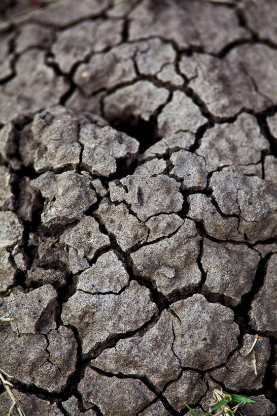 无人,竖图,室外,特写,白天,正面,阴影,干枯,光线,纹路,纹理,影子,地面,阳光,干涸,肌理,枯竭,彩图