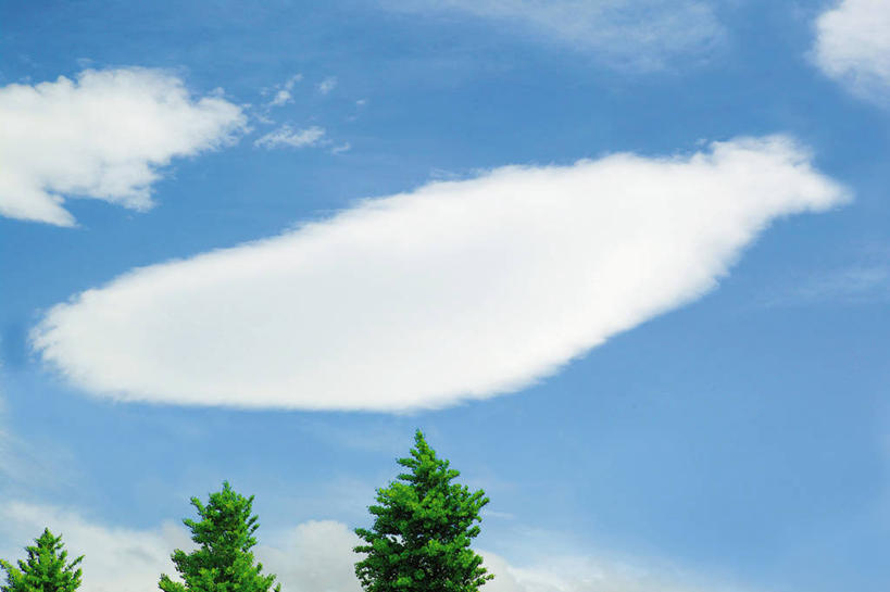 无人,横图,室外,白天,仰视,美景,植物,日本,亚洲,三棵,阴影,光线,影子,景观,云,云朵,云彩,树,树木,蓝色,绿色,白云,蓝天,天空,阳光,自然,天,景色,生长,晴朗,成长,自然风光,东亚,日本国,晴空,彩图,低角度拍摄