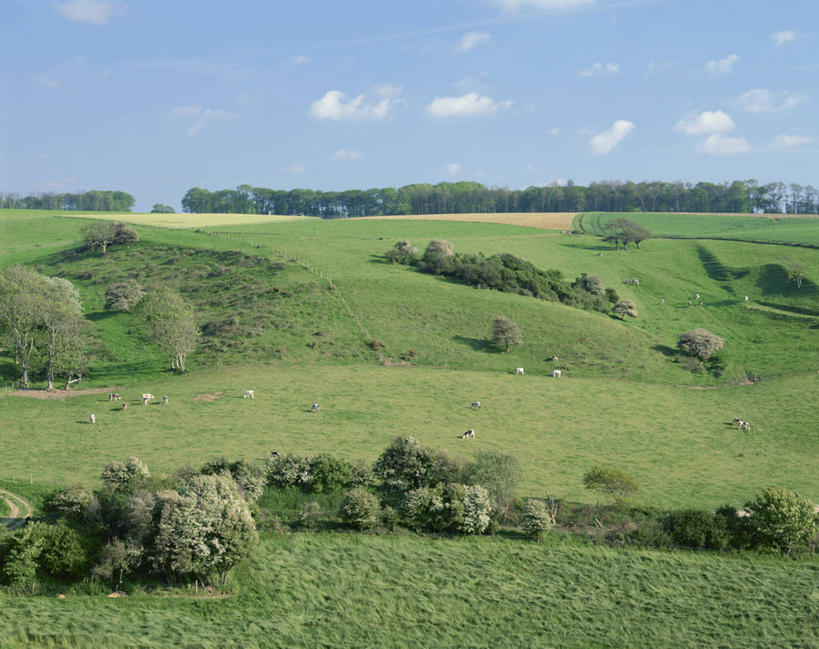 无人,农场,站,横图,室外,白天,正面,旅游,度假,畜牧业,牧场,草地,草坪,美景,树林,植物,牛,法国,欧洲,阴影,花纹,光线,影子,景观,云,云朵,乳牛,云彩,注视,娱乐,草,树,树木,蓝色,绿色,白云,蓝天,天空,阳光,自然,动物,天,观察,看,站着,享受,休闲,家畜,景色,放松,牲畜,生长,晴朗,成长,观看,察看,西欧,关注,法兰西,自然风光,斑纹,畜牧,法兰西共和国,牧业,法兰西第五共和国,上诺曼底,上诺曼底大区,埃特尔塔海岸,晴空,奶牛,站立,彩图,全身