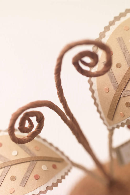 无人,竖图,室内,特写,白天,白色背景,正面,蝴蝶,静物,叶子,阴影,朦胧,模糊,反射,昆虫,影子,纸,纸张,一只,动物,摄影,影棚,纸板,硬纸板,益虫,叶,叶片,彩图,影棚拍摄,拍摄