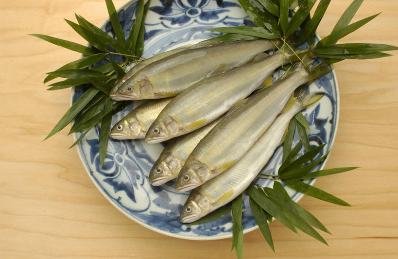 海鲜,无人,横图,俯视,室内,特写,白天,纯洁,餐桌,桌子,竹子,餐具,叶子,一堆,许多,阴影,堆叠,堆积,反射,鱼,碟子,盘,影子,绿叶,很多,水产,小黄鱼,鱼类,海洋生物,盘子,碟,嫩叶,餐台,堆,六线鱼,高雅,水生动物,黄鱼,海产品,水生物,海底动物,奉献,质朴,正直,海黄鱼,黄花鱼,担当,叶,叶片,竹,彩图,高角度拍摄,全身,奋进,操守,四君子,岁寒三友,性坚,虚怀,虚心,善群,卓尔