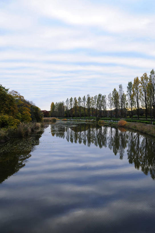 无人,竖图,室外,白天,正面,旅游,度假,河流,美景,树林,水,植物,东京,日本,亚洲,一排,阴影,整齐,光线,影子,河水,景观,水流,云,云朵,云彩,娱乐,树,树木,排列,蓝色,绿色,白云,蓝天,天空,阳光,自然,天,享受,休闲,景色,放松,生长,晴朗,成长,队列,自然风光,东亚,本州,关东地方,本州岛,日本国,东京都,水元公园,葛饰区,晴空,彩图