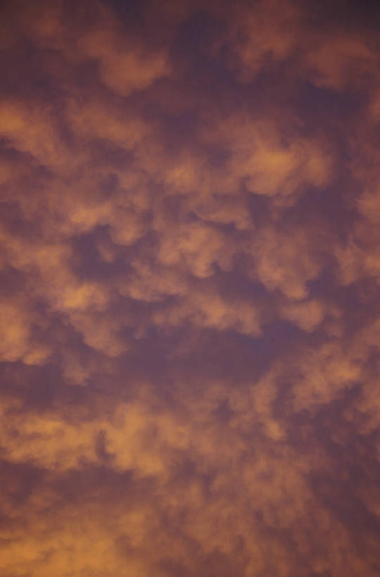 无人,竖图,室外,特写,白天,仰视,美景,日落,阴影,光线,影子,景观,晚霞,霞光,云,云朵,落日,火烧云,云彩,红色,阳光,自然,黄昏,景色,彩霞,火红,自然风光,赤色,夕照,薄暮,夕阳,彩图,低角度拍摄,傍晚,低云,斜阳