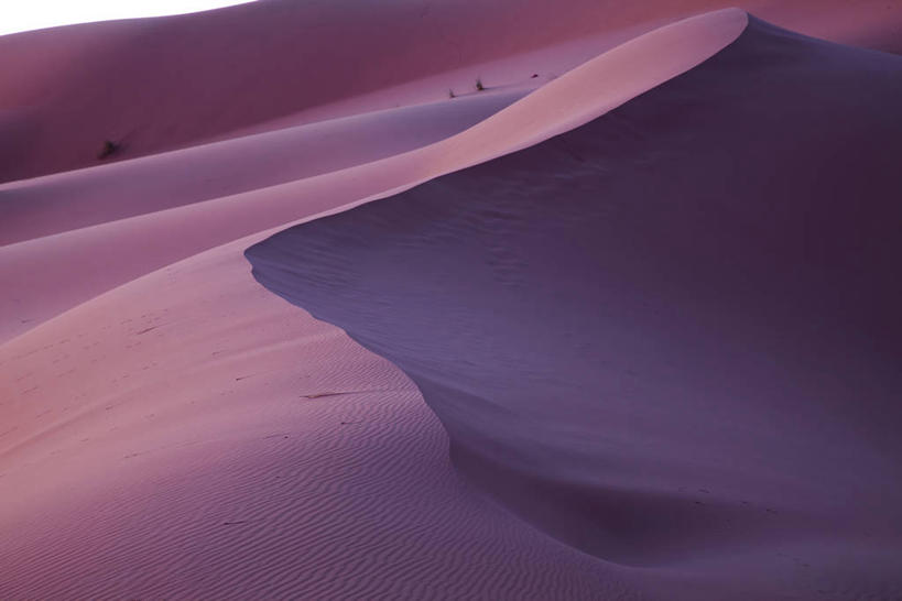 无人,横图,俯视,室外,白天,旅游,度假,美景,沙漠,非洲,摩洛哥,阴影,光线,纹路,纹理,影子,景观,娱乐,阳光,自然,享受,休闲,景色,放松,自然风光,肌理,阿非利加洲,摩洛哥王国,大漠,砂漠,彩图,高角度拍摄,撒哈拉沙丘