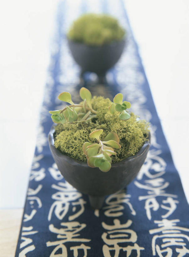 无人,竖图,俯视,室内,特写,白天,白色背景,植物,叶子,花盆,阴影,朦胧,模糊,反射,日文,标志,盆栽,文字,影子,字符,陶瓷,绿叶,盆景,陶瓷制品,两盆,标识,绿色,自然,容器,嫩叶,摄影,影棚,生长,成长,储藏,储存,日语,叶,叶片,彩图,高角度拍摄,影棚拍摄,拍摄,贮存