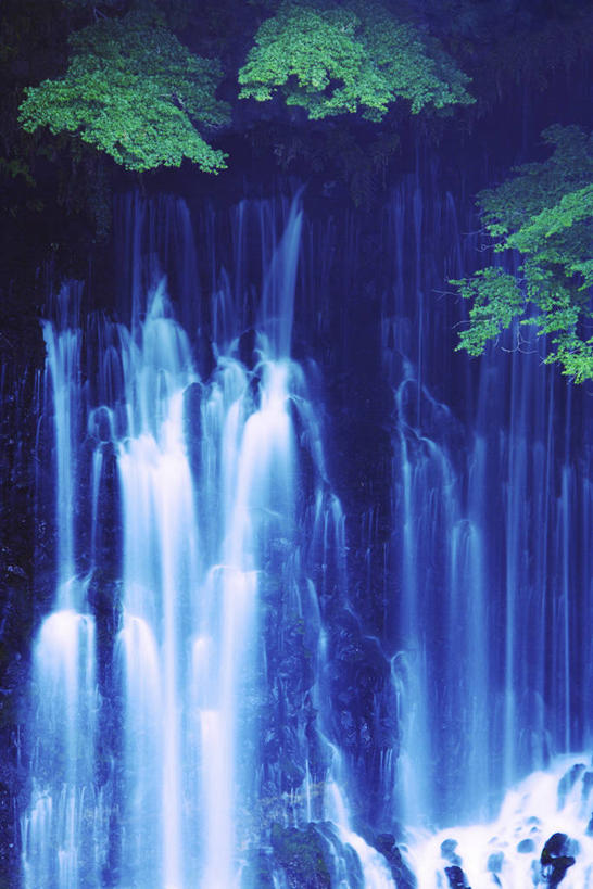 无人,竖图,室外,白天,正面,旅游,度假,美景,瀑布,水,植物,长野县,日本,亚洲,阴影,飞溅,朦胧,模糊,溅,光线,液体,影子,景观,水滴,悬崖,娱乐,水珠,树,树木,绿色,阳光,自然,享受,休闲,景色,放松,生长,成长,喷洒,自然风光,东亚,本州,本州岛,日本国,中部地方,长野,绝壁,轻井泽,轻井泽町,白丝瀑布,跌水,彩图,北佐久郡