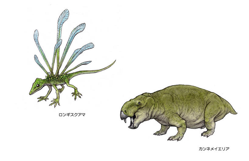 无人,站,横图,插画,室内,白天,白色背景,侧面,数码,科技,两头,阴影,网络,英文,标志,文字,字符,字母,高光,几何,计算机图形,合成,图画,注视,标识,画,绿色,观察,看,站着,张嘴,恐龙,观看,英文字母,电脑合成图,数码合成图,察看,合成图,关注,凶猛,漫画,张大嘴巴,远古,写实,具体,具象,灭尽,灭绝,史前动物,三叠纪,凶残,张开嘴,站立,彩图,全身,年代,地质年代,地质时代,时代,显生宙,中生代