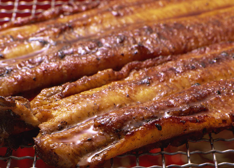 海鲜,鳗鱼,无人,横图,俯视,室内,特写,白天,烹饪,烧烤,鳗鲡,阴影,朦胧,模糊,反射,鱼,影子,肉,鱼肉,日本料理,料理,食品,烤架,烤肉,水产,菜肴,美食,肉类,鱼类,海洋生物,食物,日式料理,日式,铁架,佳肴,水生动物,烤鳗鱼,海产品,水生物,肉食,海底动物,彩图,高角度拍摄