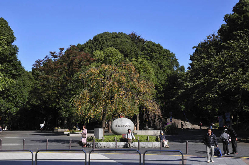 东方人,公园,栏杆,走,横图,室外,白天,正面,度假,美景,树林,植物,城市风光,城市,道路,路,人行横道,公路,东京,日本,亚洲,阴影,服装,光线,扶手,影子,景观,人行道,交通,许多人,注视,休闲装,黄种人,娱乐,护栏,树,树木,衣服,蓝色,绿色,蓝天,天空,阳光,自然,天,观察,看,一群人,享受,休闲,休闲服,景色,放松,服饰,生长,晴朗,成长,观看,察看,关注,人行横道线,东亚,本州,万里无云,关东地方,本州岛,日本国,东京都,东京上野公园,台东区,男人,男性,年轻男性,年轻女性,女人,女性,亚洲人,晴空,晴空万里,斑马线,马路,步行,散步,走路,彩图,全身,上野,上野恩赐公园,上野公园