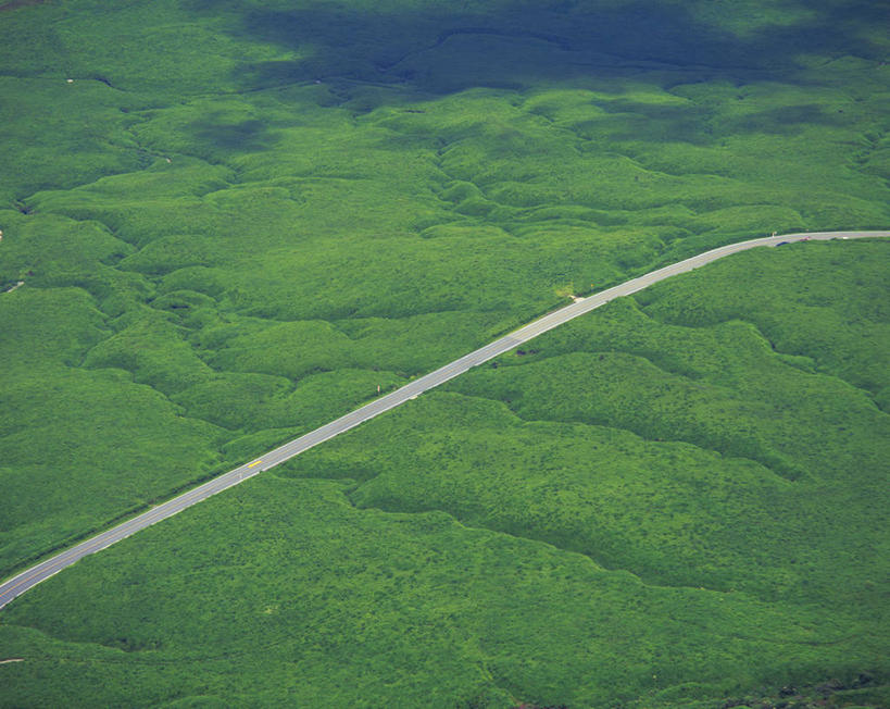 无人,横图,俯视,航拍,室外,白天,旅游,度假,草地,草原,湖,湖泊,美景,水,植物,道路,路,日本,亚洲,阴影,光线,影子,湖面,景观,旷野,水流,水面,小路,交通,娱乐,草,绿色,阳光,自然,湖水,享受,休闲,景色,放松,鸟瞰,自然风光,原野,东亚,日本国,九州本岛,九州,九州岛,九州地方,熊本,熊本县,彩图,高角度拍摄,阿苏郡