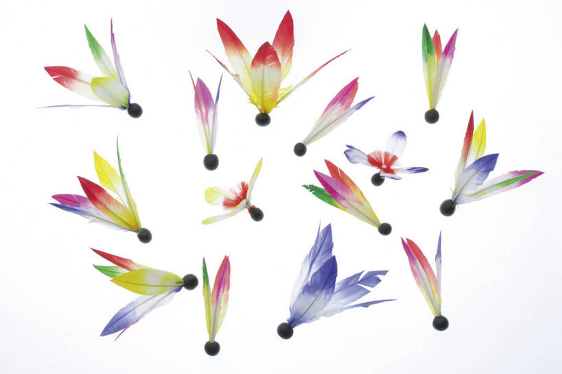 无人,横图,彩色,室内,特写,白天,白色背景,正面,锻炼,运动,静物,许多,阴影,反射,板羽球,影子,很多,运动器械,健身器械,摄影,影棚,毽子,健身器材,羽子板,毽球,花毽,鸡毛毽,打手毽,毽子板球,体育,彩图,影棚拍摄,健身,拍摄,运动器材