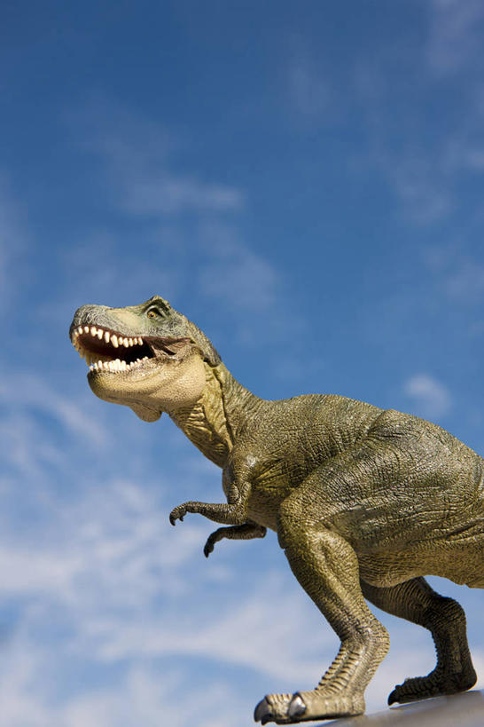 无人,站,竖图,室外,白天,仰视,雕塑,一头,阴影,艺术,装饰,光线,雕刻,雕像,影子,云,云朵,云彩,蓝色,白云,蓝天,天空,阳光,工艺品,天,站着,张嘴,恐龙,晴朗,纪念,美术,主题,凶猛,陈列,张大嘴巴,霸王龙,一尊,功能,美学,灭尽,灭绝,暴龙,雷克斯暴龙,雷克斯龙,史前动物,凶残,晴空,张开嘴,站立,半身,彩图,低角度拍摄