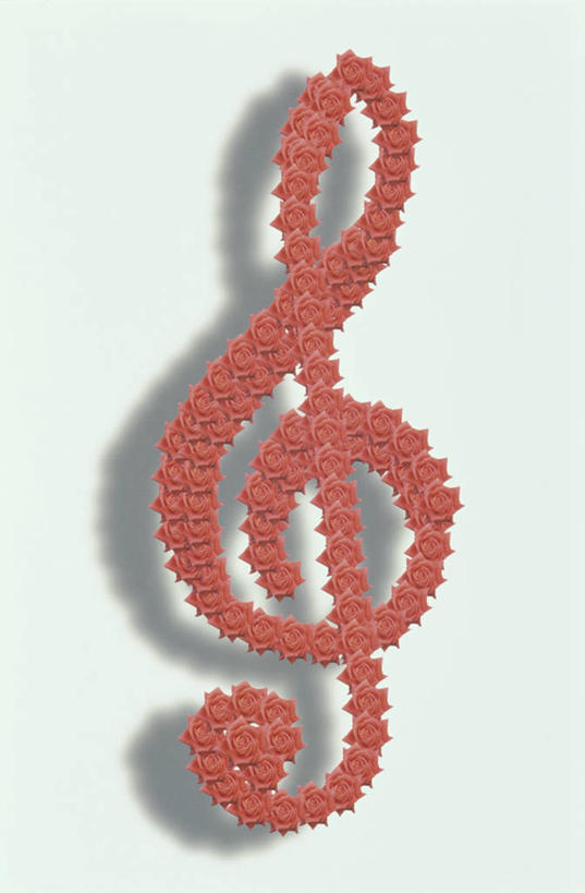 无人,竖图,室内,特写,白天,正面,静物,阴影,反射,影子,音乐,一个,红色,摄影,影棚,单个,节拍,乐符,音符,符头,符干,符尾,乐章,彩图,影棚拍摄,拍摄