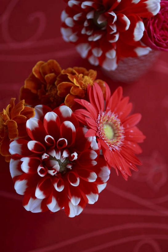 无人,竖图,俯视,室内,特写,白天,智慧,花瓶,大理,中国,亚洲,阴影,红色背景,艺术,盛开,反射,影子,陶瓷,陶瓷制品,花蕾,文化,云南,花,花瓣,花朵,鲜花,两个,红色,插花,瓶子,花苞,花蕊,摄影,影棚,插花艺术,创造,创作,想象,东亚,云南省,中华人民共和国,西南地区,滇,大理州,大理白族自治州,彩图,高角度拍摄,影棚拍摄,拍摄