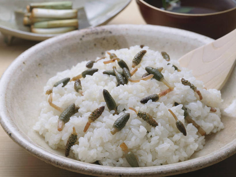 米饭,无人,横图,俯视,室内,特写,白天,烹饪,餐桌,桌子,阴影,朦胧,模糊,反射,影子,陶瓷,日本料理,料理,食品,陶瓷制品,饭,菜肴,美食,食物,容器,碗,日式料理,日式,马尾,佳肴,餐台,储藏,五谷,储存,问荆,接续草,公母草,搂接草,空心草,马蜂草,猪鬃草,黄蚂草,节节草,接骨草,彩图,高角度拍摄,木贼,马尾植物,贮存