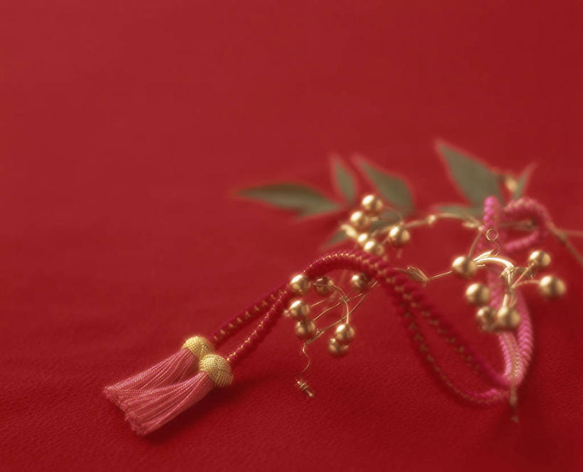 无人,横图,室内,特写,白天,正面,叶子,阴影,红色背景,节日,庆祝,装饰,反射,影子,绿叶,文化,装饰品,装饰物,庆典,嫩叶,摄影,影棚,纪念,华丽,修饰,点缀,饰物,衬托,美观,雅致,雅观,叶,叶片,彩图,影棚拍摄,拍摄,日本新年