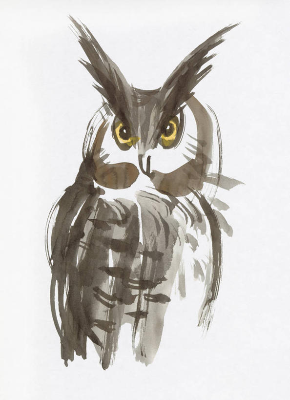 无人,站,竖图,室内,白天,白色背景,正面,绘画,猫头鹰,鸟,野生动物,艺术,鸟类,古典,注视,文化,一只,动物,工艺品,观察,看,品味,站着,观看,美术,水彩,察看,水彩画,高雅,关注,凶猛,长耳枭,美学,残暴,凶残,鸮,枭,站立,半身,彩图