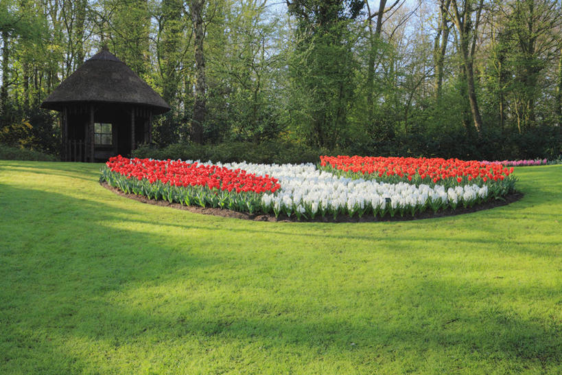 无人,横图,室外,白天,正面,爱情,旅游,度假,草地,草坪,花海,花圃,美景,植物,郁金香,叶子,欧洲,荷兰,阴影,盛开,光线,影子,景观,首都,祝福,花蕾,娱乐,草,花,花瓣,花朵,花卉,鲜花,树,树木,蓝色,绿色,蓝天,天空,阳光,自然,花丛,花束,花田,天,花苞,花蕊,享受,休闲,景色,放松,生长,晴朗,成长,表白,西欧,自然风光,荣誉,阿姆斯特丹,万里无云,永恒,荷兰王国,尼德兰王国,库肯霍夫花园,北荷兰省,晴空,晴空万里,郁香,洋荷花,草麝香,彩图