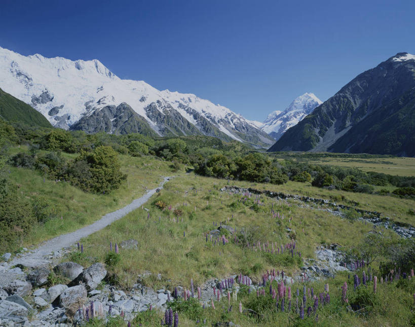 无人,公园,横图,室外,白天,正面,旅游,度假,石头,美景,山,树林,雪,雪山,植物,大雪,新西兰,阴影,光线,石子,影子,冰,积雪,景观,山峰,雪景,冬季,冬天,山峦,娱乐,树,树木,蓝色,绿色,蓝天,天空,阳光,自然,天,享受,休闲,景色,放松,寒冷,生长,晴朗,成长,冰冷,国家公园,自然风光,大洋洲,万里无云,严寒,库克山,南阿尔卑斯山脉,纽西兰,冰凉,酷寒,凛冽,凛凛,极冷,长白云之乡,新西兰南岛,库克山国家公园,石块,岩石,晴空,晴空万里,彩图,南阿尔卑斯山